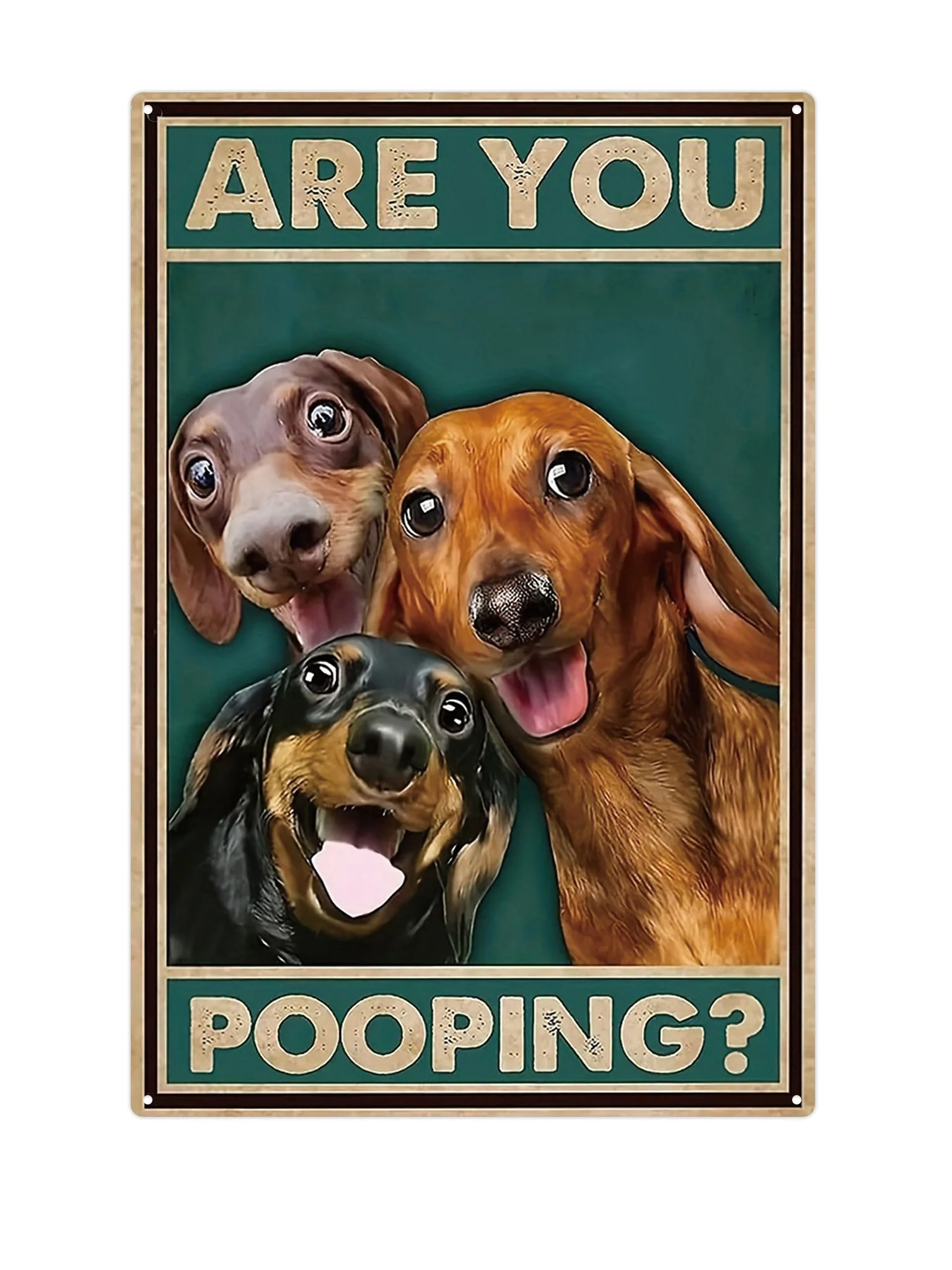 Are you pooping?