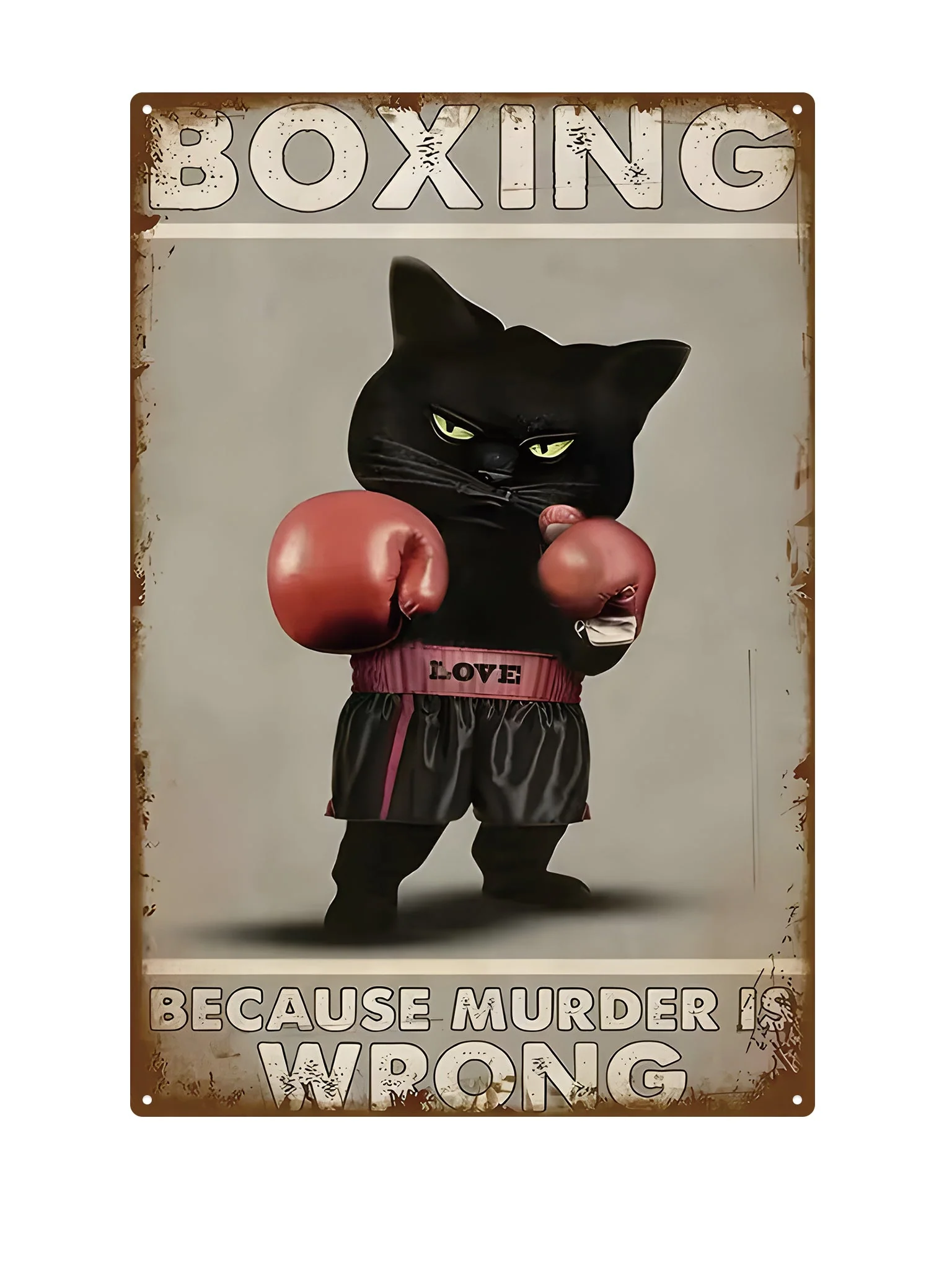Boxing because murder is wrong