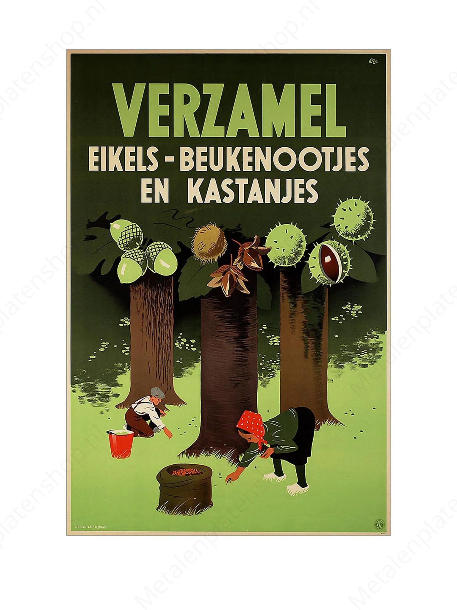 Verzamel eikels - beukenootjes en kastanjes - Nostalgisch